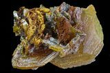 Wulfenite Crystal Cluster - Mexico #67734-1